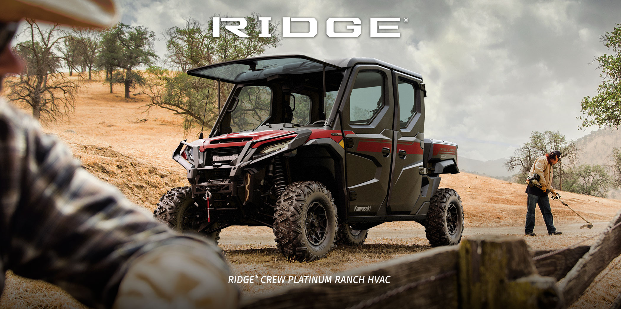 Ridge FAMILY: Ridge Ridge XR