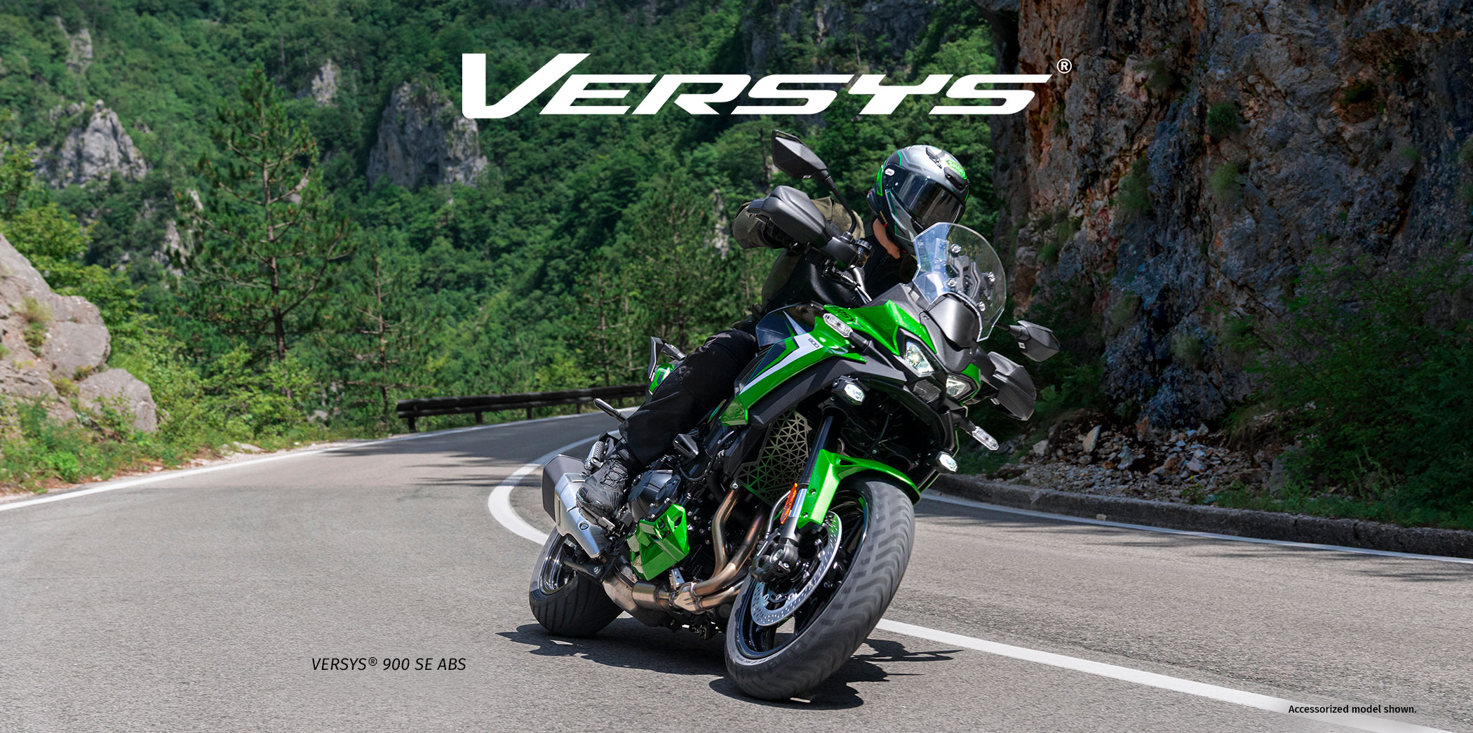 versys FAMILY: